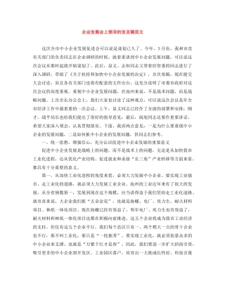 企业发展会上领导的发言稿范文 