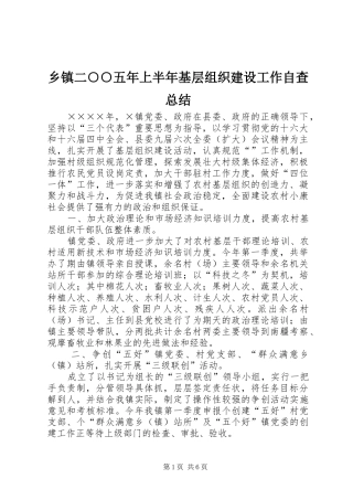 乡镇二○○五年上半年基层组织建设工作自查总结 (3)