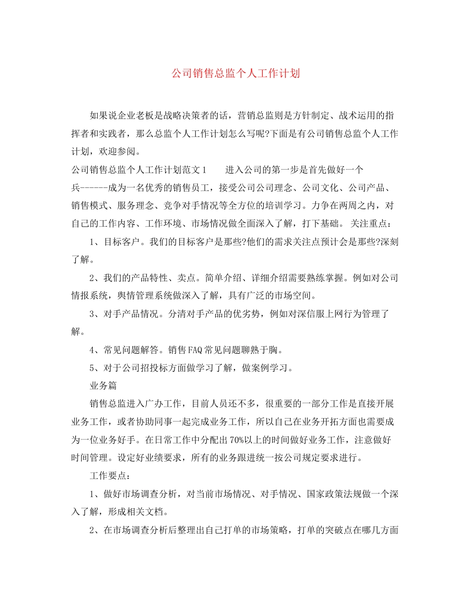 公司销售总监个人工作计划_第1页