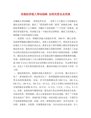 实施经济能人带动战略 加快民营企业发展 