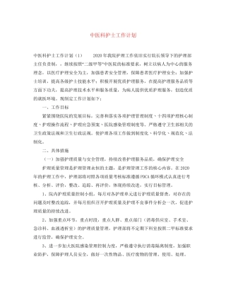 中医科护士工作计划