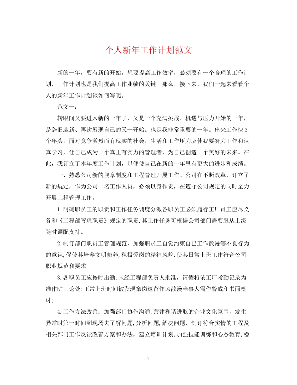 个人新年工作计划范文_第1页