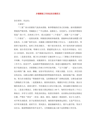 乡镇禁烧工作表态发言稿范文 