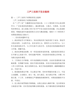 三严三实班子发言提纲 