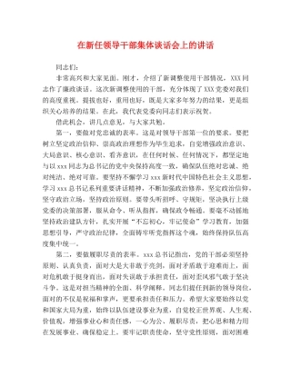 在新任领导干部集体谈话会上的讲话 