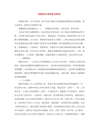 竞聘副处长演讲稿【推荐】 