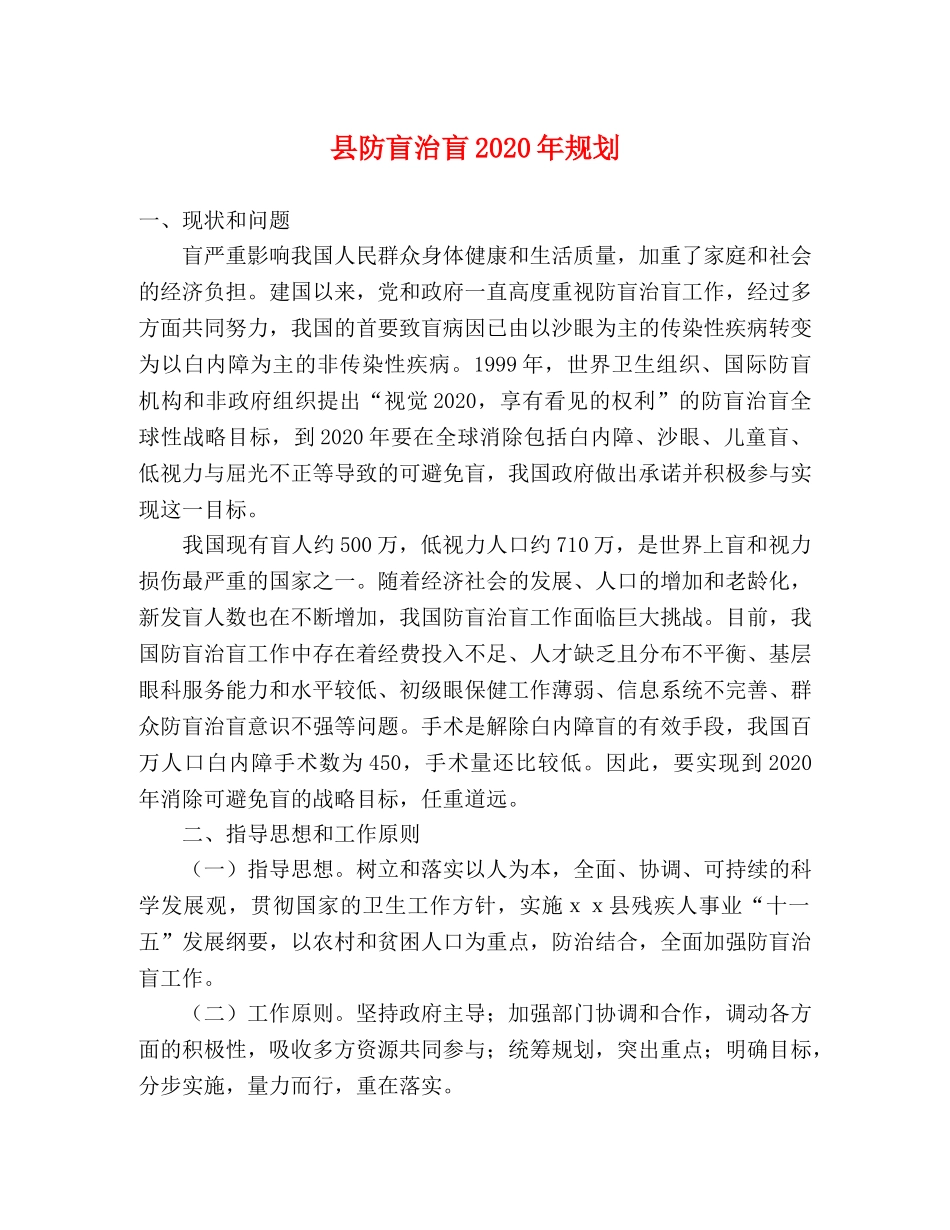 县防盲治盲2024年规划 _第1页