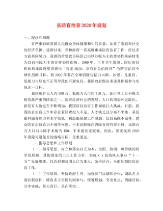 县防盲治盲2024年规划 