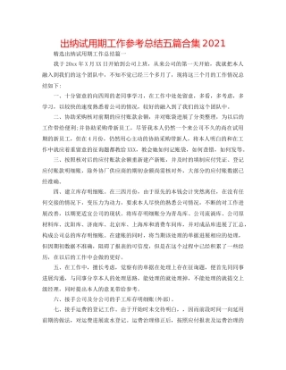 出纳试用期工作参考总结五篇合集2024 