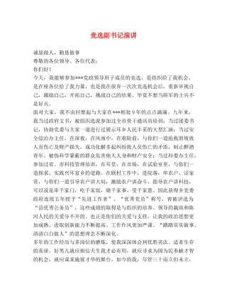 竞选副书记演讲 