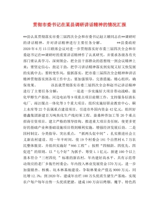 贯彻市委书记在某县调研讲话精神的情况汇报 