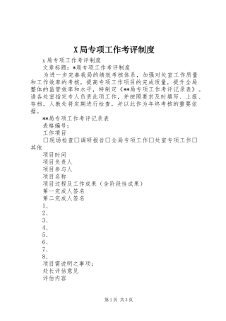 X局专项工作考评制度