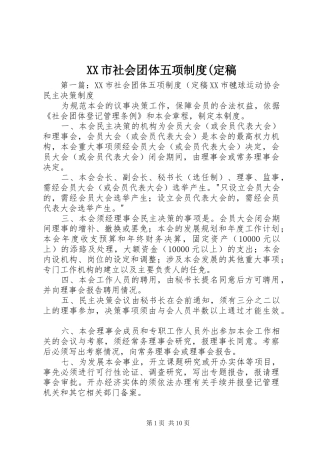 XX市社会团体五项制度(定稿