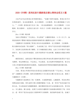 2024《丰碑》系列纪录片最新观后感心得体会范文5篇 