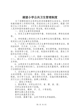 湖望小学公共卫生管理制度