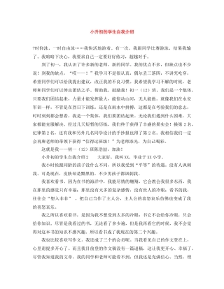 小升初的学生自我介绍 