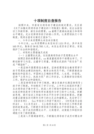 十项制度自查报告