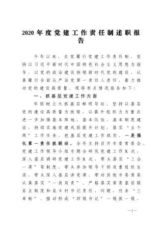 2020年度党建工作责任制述职报告