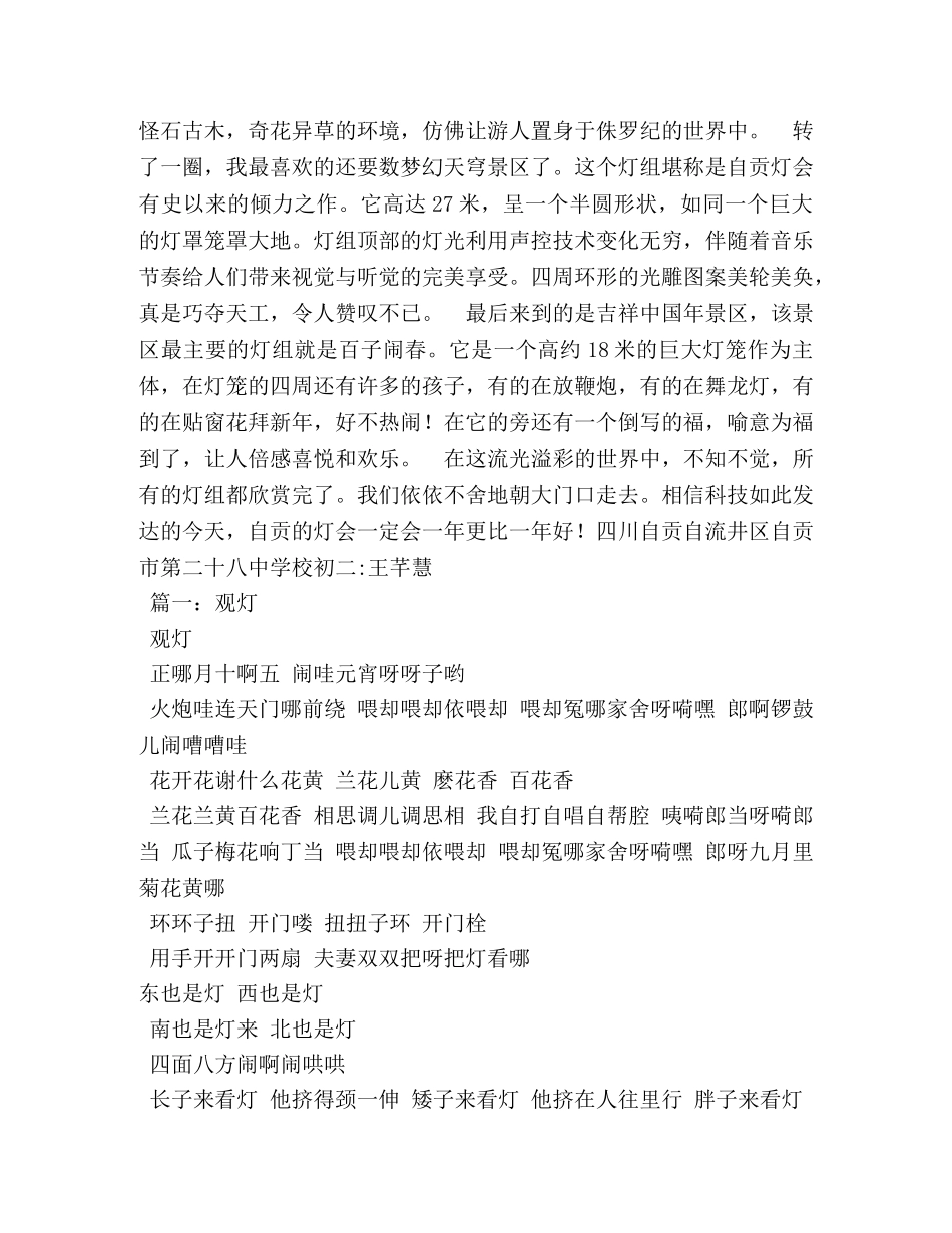 观灯作文400字 _第3页
