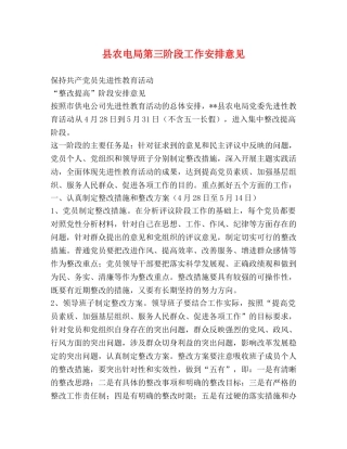 县农电局第三阶段工作安排意见 