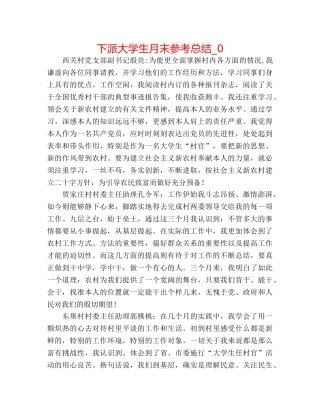 下派大学生月末参考总结_0 