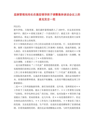 监狱管理局局长在基层领导班子调整集体谈话会议上的意见发言—范 