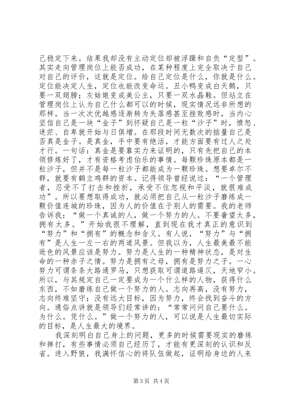 做一个努力的人——工作总结及感悟_第3页