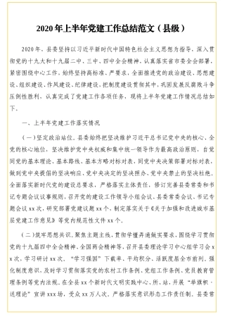 2020年上半年党建工作总结范文（县级）