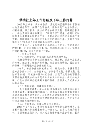 供销社上年工作总结及下年工作打算