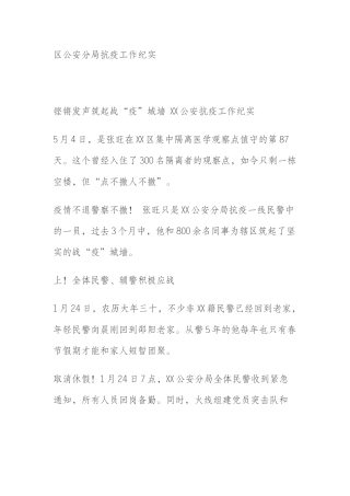 区公安分局抗疫工作纪实