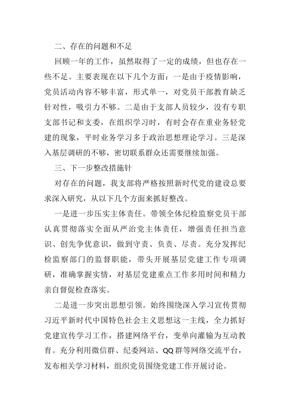 纪委党支部书记2021年抓党建工作述职报告_第3页