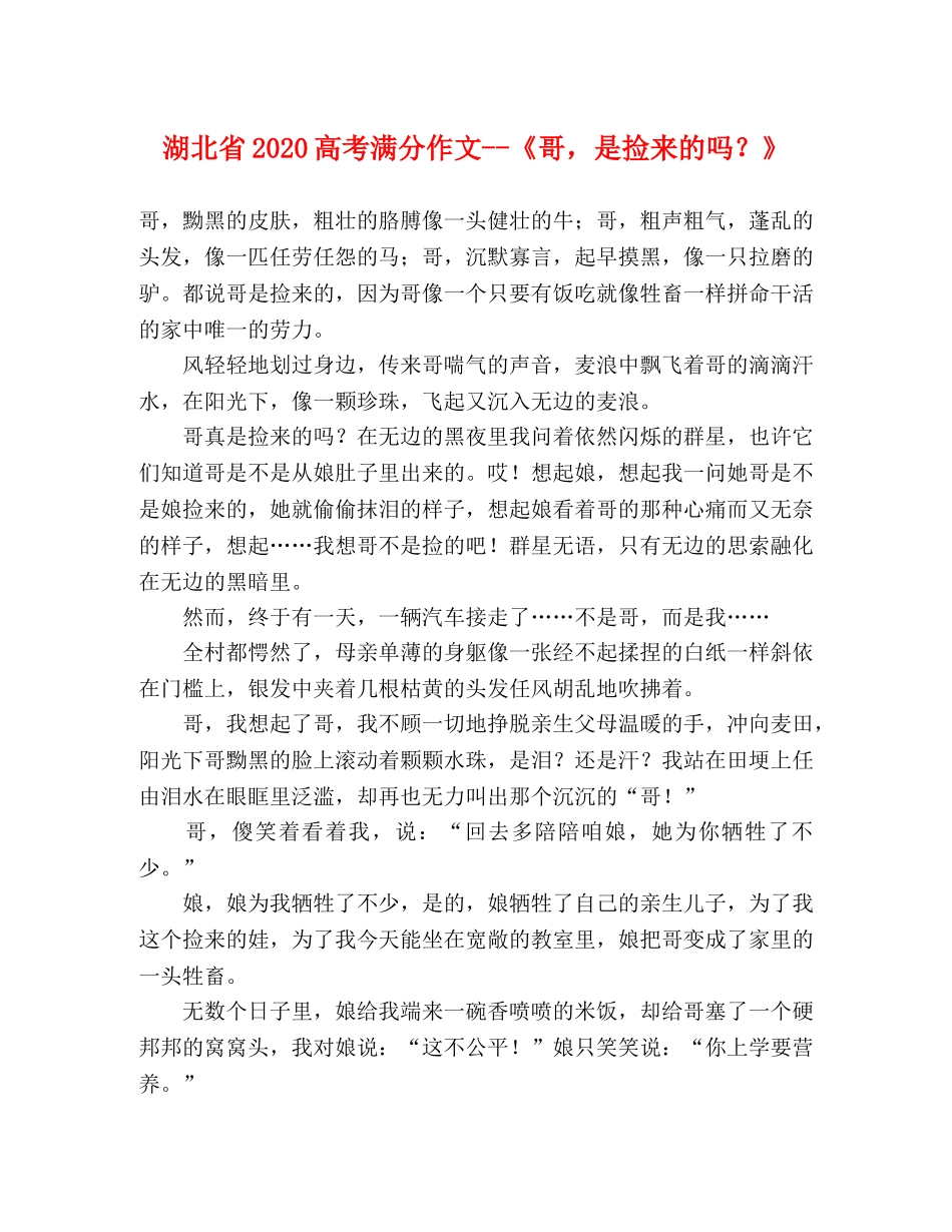 湖北省2024高考满分作文--《哥，是捡来的吗？》 _第1页