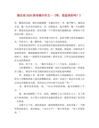 湖北省2024高考满分作文--《哥，是捡来的吗？》 