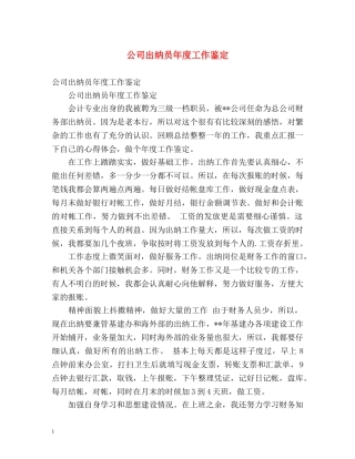 公司出纳员年度工作鉴定 