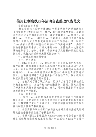 信用社制度执行年活动自查整改报告范文