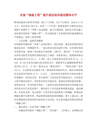 实施“细胞工程”提升基层组织建设整体水平 