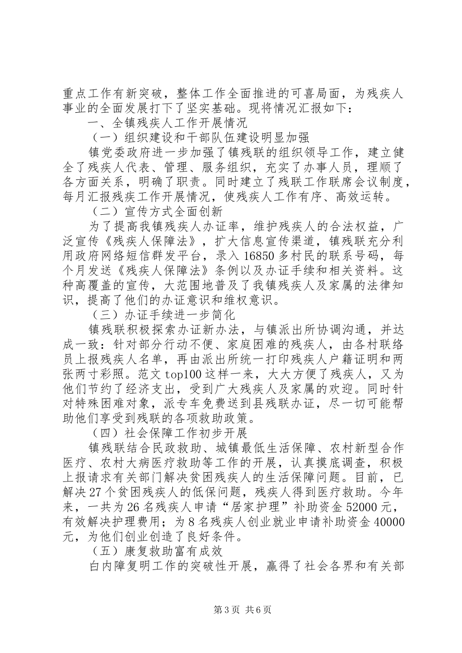 乡镇残联工作个人总结_第3页