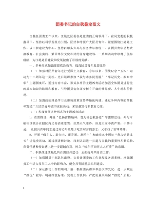 团委书记的自我鉴定范文 