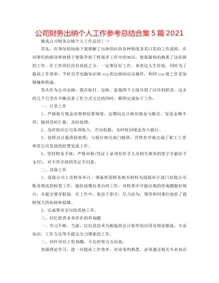 公司财务出纳个人工作参考总结合集5篇2024 