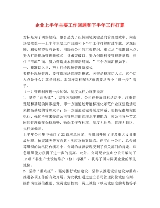 企业上半年主要工作回顾和下半年工作打算 