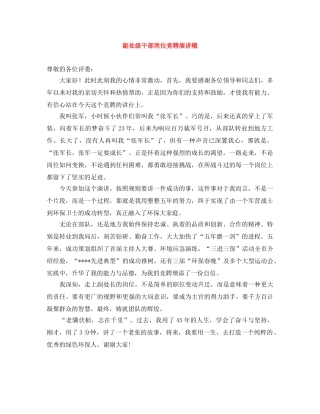 副处级干部岗位竞聘演讲稿 