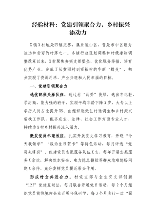 经验材料：党建引领聚合力，乡村振兴添动力