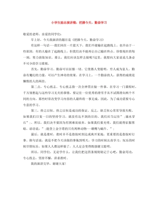 小学生励志演讲稿把握今天，勤奋学习 