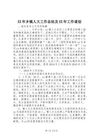 XX年乡镇人大工作总结及XX年工作谋划
