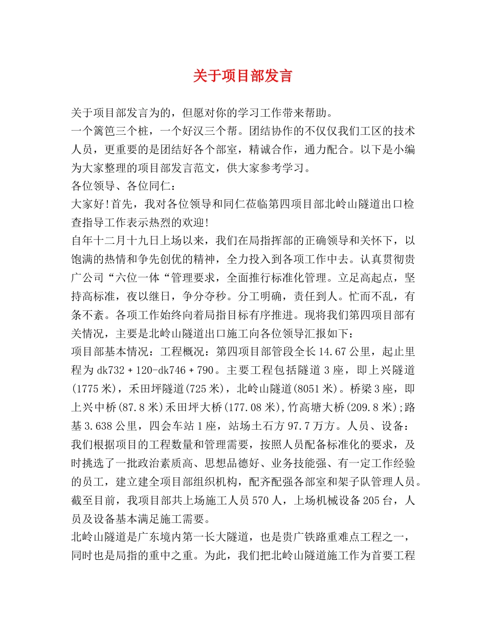 关于项目部发言 _第1页