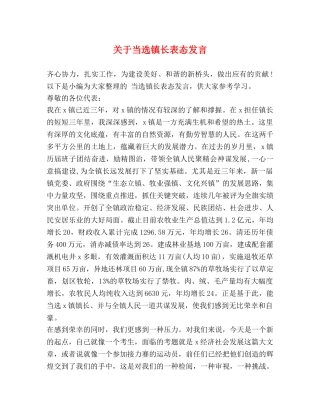 关于当选镇长表态发言 