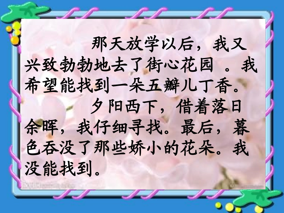 《寻找幸运花瓣》课件_第3页