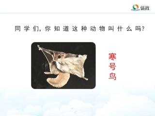 《寒号鸟》名师精品课件