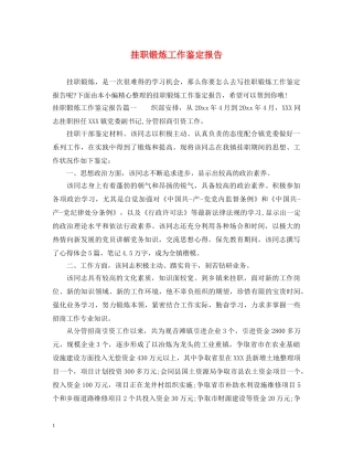 挂职锻炼工作鉴定报告 