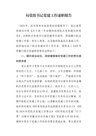 局党组书记党建工作述职报告